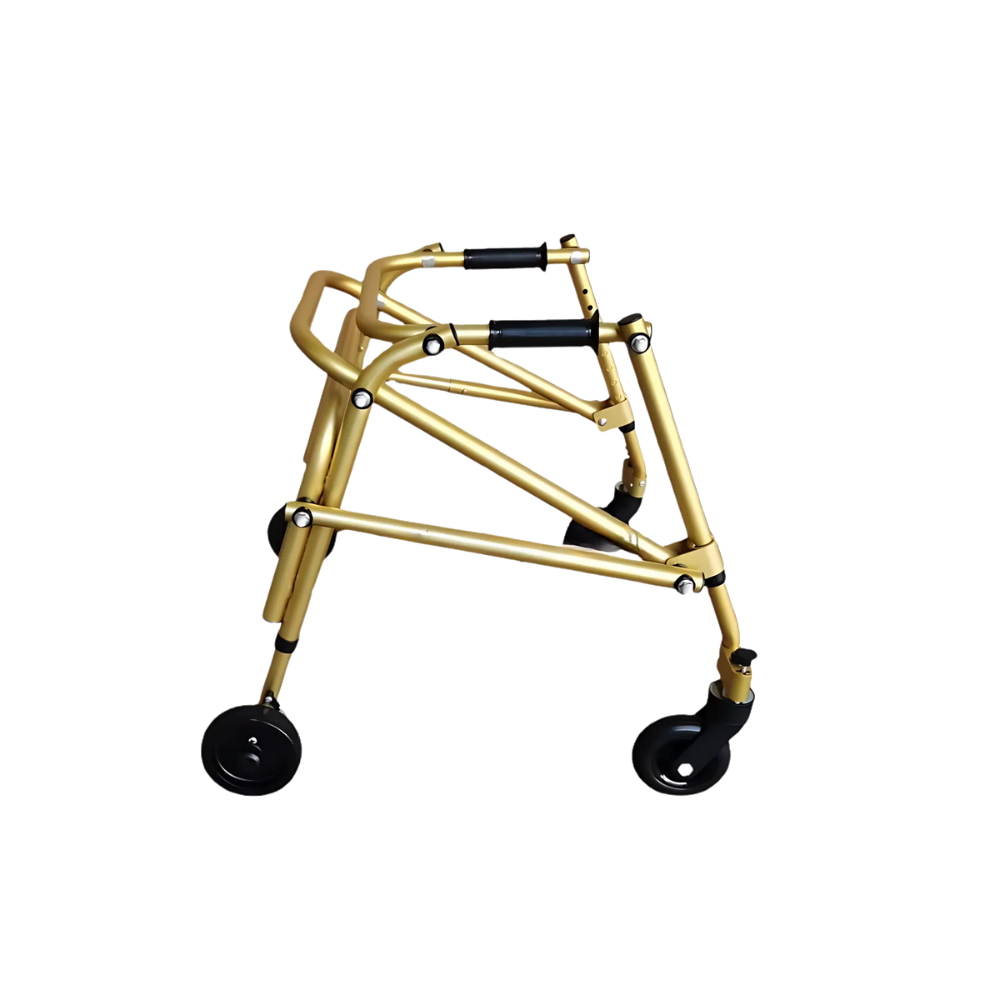 Baby Walker BWM-1000B-3