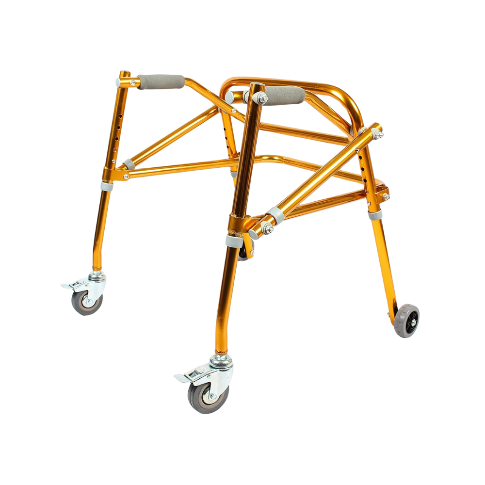 Baby Walker BWM-1000C-2